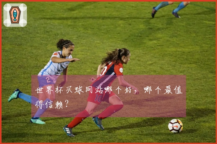 世界杯买球网站哪个好，哪个最值得信赖？