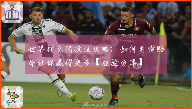 世界杯竞猜投注攻略：如何看懂赔率让你赢得更多【经验分享】