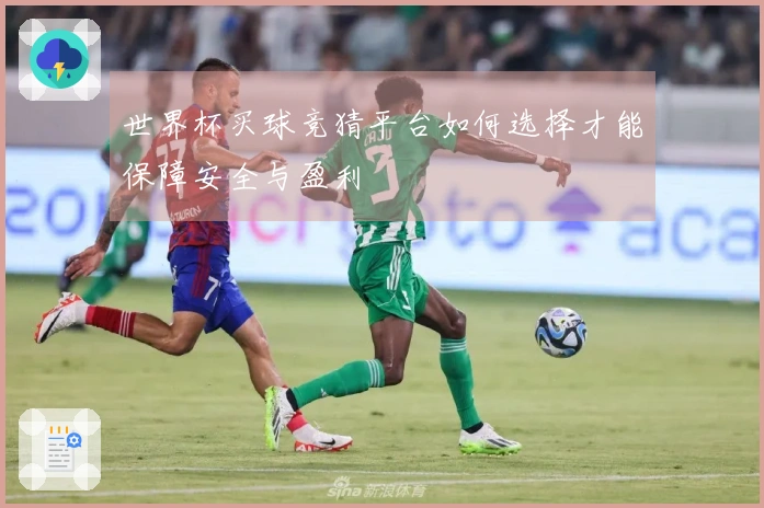 世界杯买球竞猜平台如何选择才能保障安全与盈利