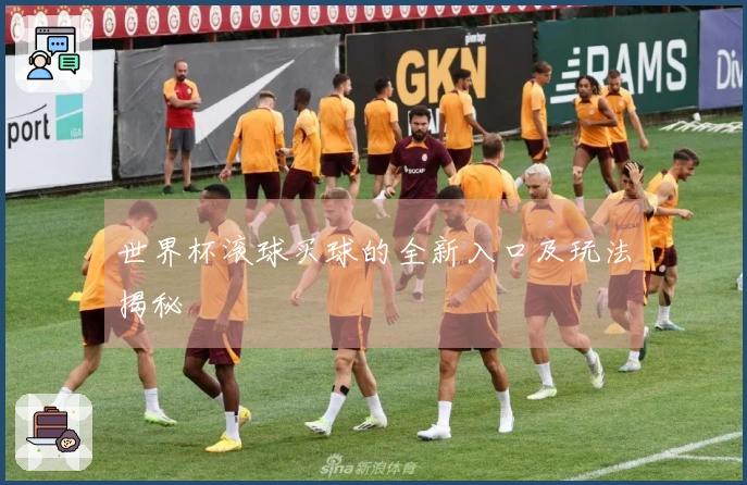 世界杯滚球买球的全新入口及玩法揭秘