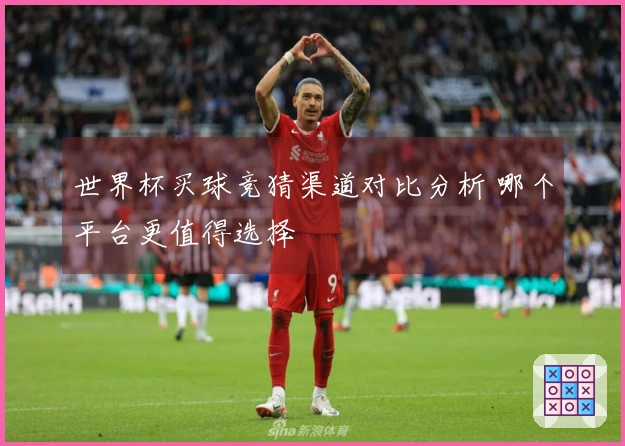 世界杯买球竞猜渠道对比分析 哪个平台更值得选择