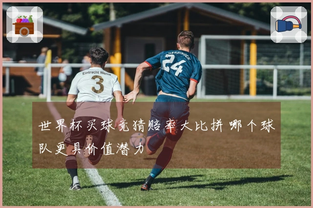 世界杯买球竞猜赔率大比拼 哪个球队更具价值潜力