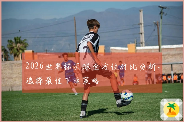 2026世界杯买球全方位对比分析，选择最佳下注策略