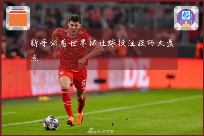 新手必看世界杯让球投注技巧大盘点