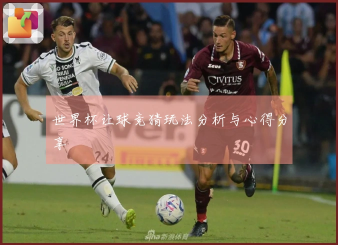 世界杯让球竞猜玩法分析与心得分享