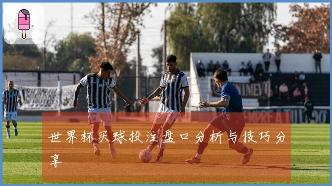 世界杯买球投注盘口分析与技巧分享