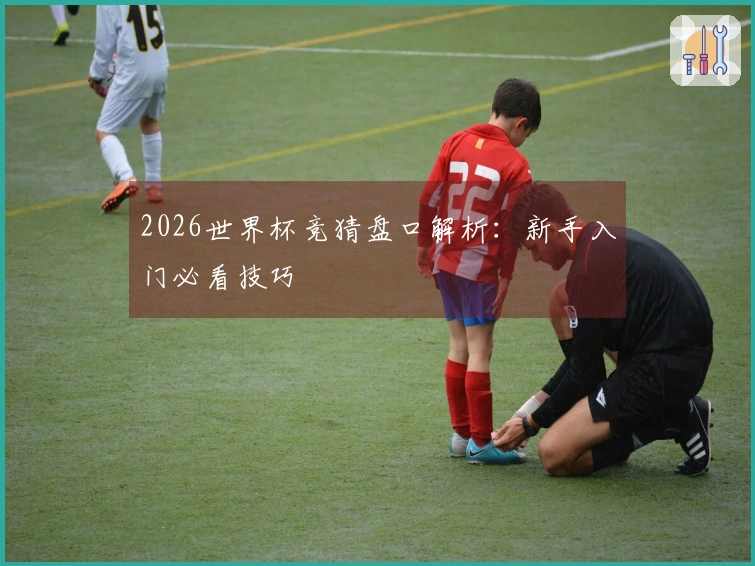 2026世界杯竞猜盘口解析：新手入门必看技巧