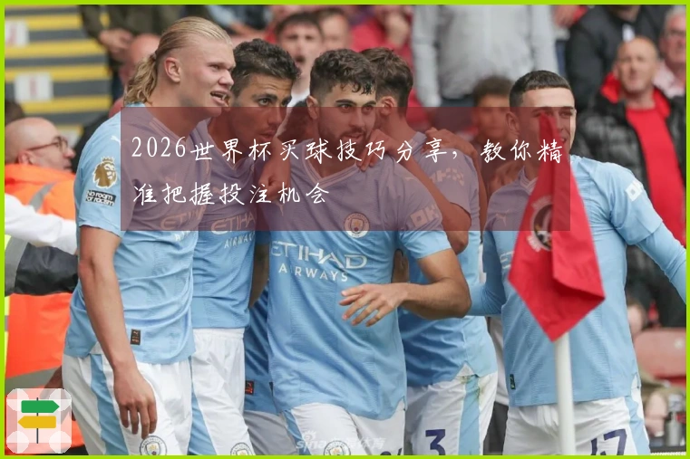 2026世界杯买球技巧分享，教你精准把握投注机会
