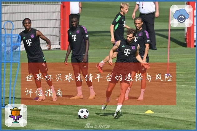 世界杯买球竞猜平台的选择与风险评估指南