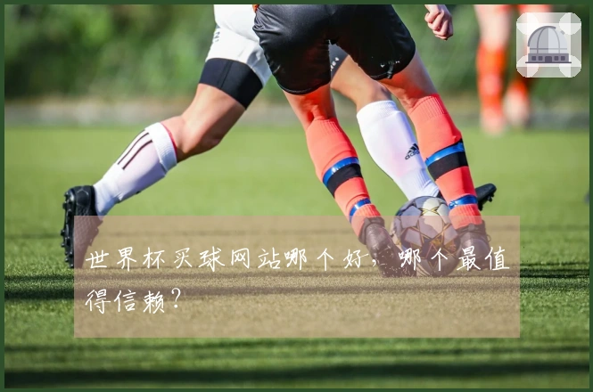 世界杯买球网站哪个好，哪个最值得信赖？