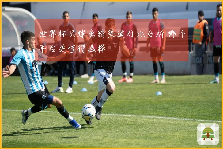 世界杯买球竞猜渠道对比分析 哪个平台更值得选择